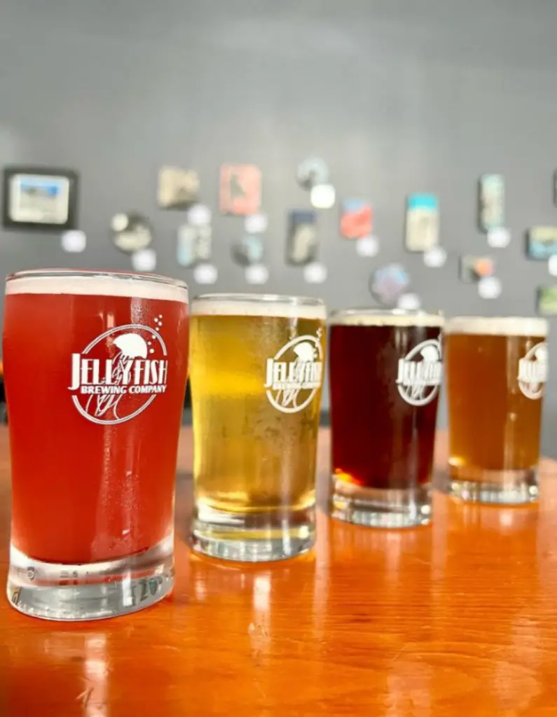Jellyfish Brewing Slated to Expand With Another Location in the Green Lake Area